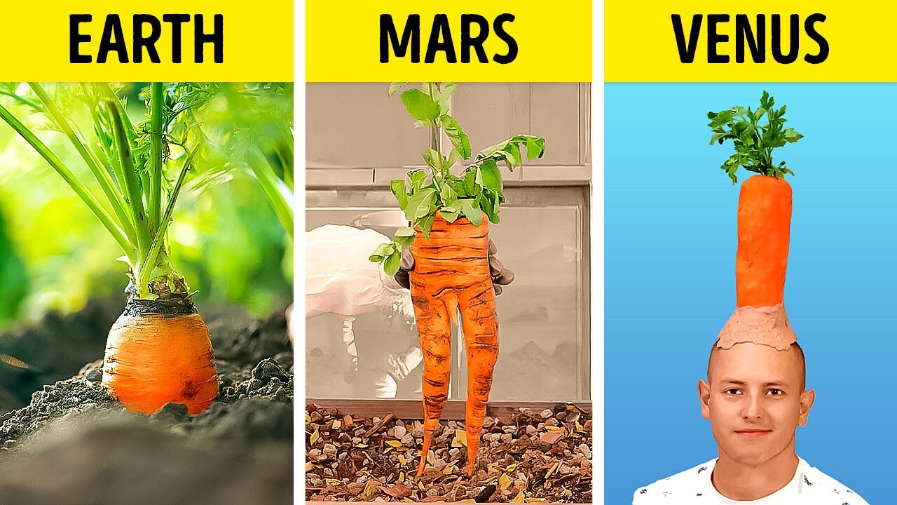 How to grow Plants at Mars and everywhere