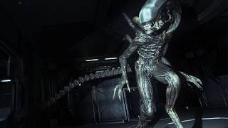 Eh not that scared. | ALIEN ISOLATION STREAM
