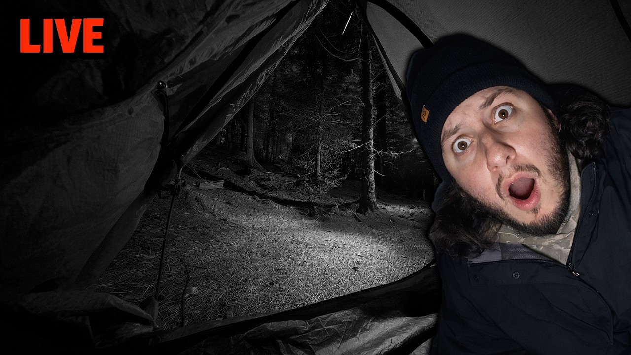 (FINALLY) THE TRUTH ABOUT WHAT'S REALLY BEEN GOING ON...