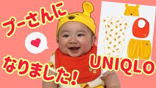 【生後5ヶ月】赤ちゃんがユニクロのプーさんを着てみたよ！【5 months old】The baby tried to wear a UNIQLO Pooh!