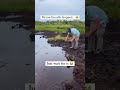 Funny british guy falls in swamp