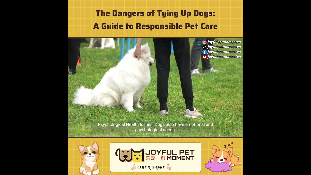 The Dangers of Tying Up Dogs: A Guide to Responsible Pet Care