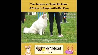 The Dangers of Tying Up Dogs: A Guide to Responsible Pet Care