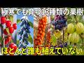 極寒でも育つ13種類の果樹 ほとんど誰も植えていない果樹たち