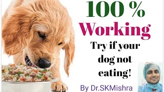 My dog is not eating food ।। What to do? 100% working  tips by Dr.SKMishra