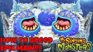 How To Breed Epic Maw on Cold Island | My Singing Monsters