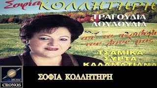 Σοφία Κολλητήρη - Πουλάκι ξένο / Sofia Kollitiri - Poulaki kseno (HD, Lyric Video)