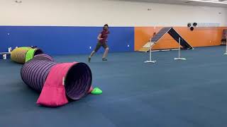 tunnel threadle 18 inch