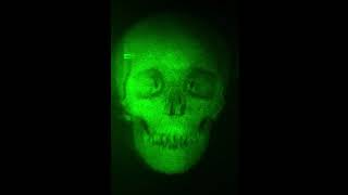 skeleton