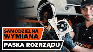 Renault Kangoo Express instrukcja obsługi po polsku online