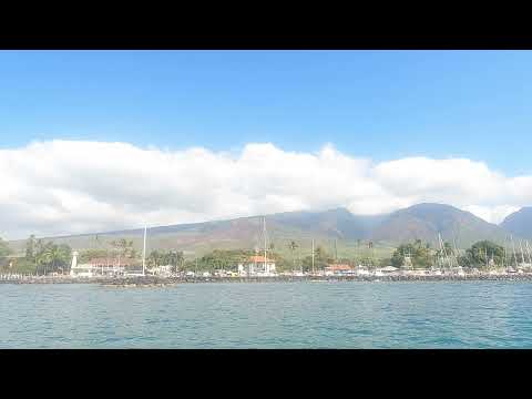 Barrett Bogan - LAHAINA TOWN (Beauty From Ashes) (Official Audio)