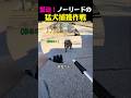 緊迫の瞬間!ノーリードでうろつく猛犬を捕獲しようとした結果