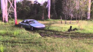 VN COMMODORE Grass Drift Rally Sliding