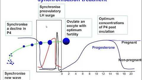 TV4001 Synchronisation of oestrus in cattle 2   the ideal synchronisation treatment