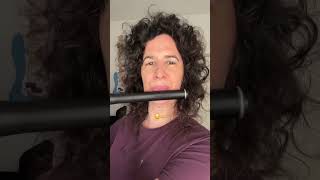 If you were to get a wooden flute, which one would it be? New or vintage?