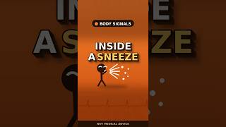 What Happens Inside Your Body When You Sneeze