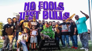 Details No Fools, Just Bulls 4 | Full Bully Dog Show Coverage 🏆🔥 Update