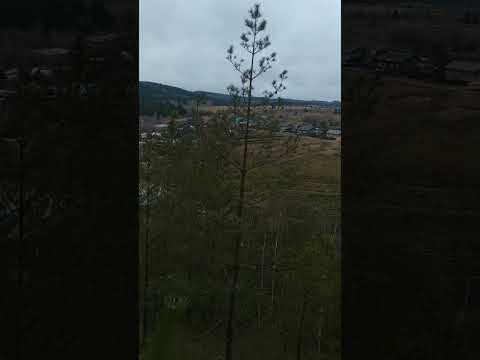 Пермский край,Кишертский р-он,с.Посад,вид