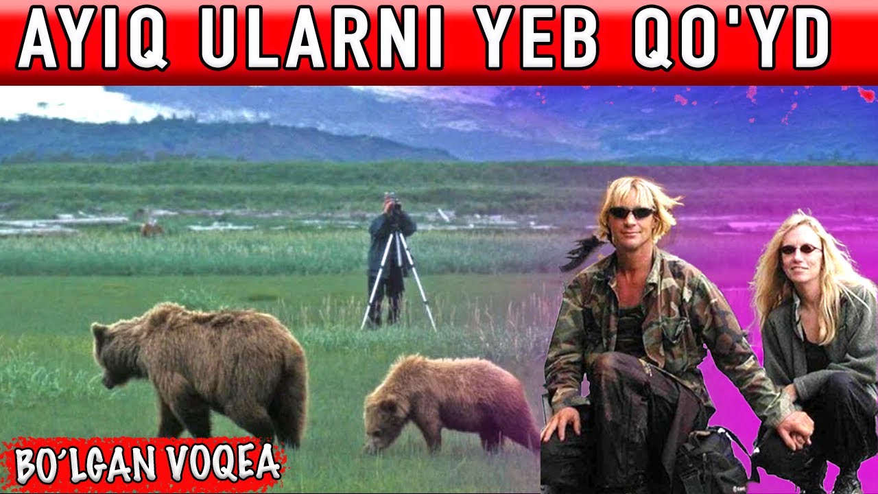 SO‘NGGI 6 DAQIQA GRIZZLY MENING HAYOTI TASVIRGA OLINGAN... DAHSHATLI HIKOYA