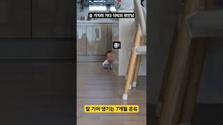 7개월 아이 기어다니다 식탁과 박치기 #baby #ba…