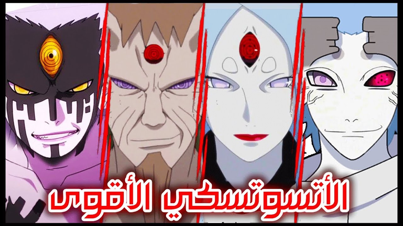 ترتيب أفراد عشيرة الأتسوتسكي من الأضعف الى الأقوى | لن تصدق الترتيب !! 😲😱