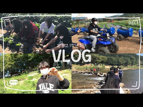 양평고 1학년 3반의 수미마을 브이로그 vlog
