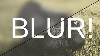 Celebrity Real-time Blur Node in Cycles! Net Worth