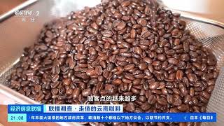 [经济信息联播]联播调查·走俏的云南咖啡 云南保山：部分咖啡生产商订单排到明年 企业加速扩产能 |  财经风云