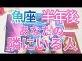 【魚座】半年後あなたの隣にいる人はどんな人？💗特徴、印象、出会い、進展タイミング💕タロット占い🔮