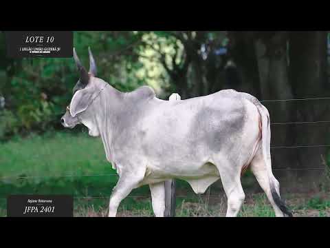 LOTE 10: JFPA 2401 Rejane