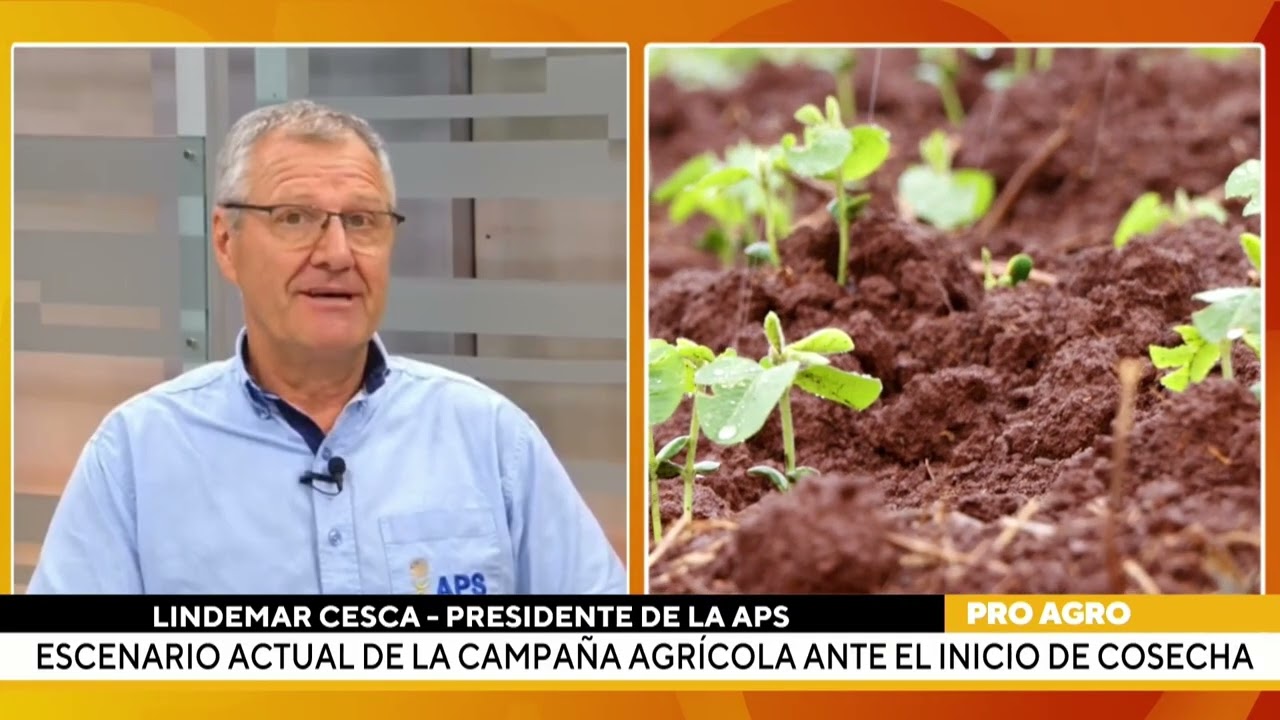 Escenario actual de la campaña agrícola ante el inicio de cosecha