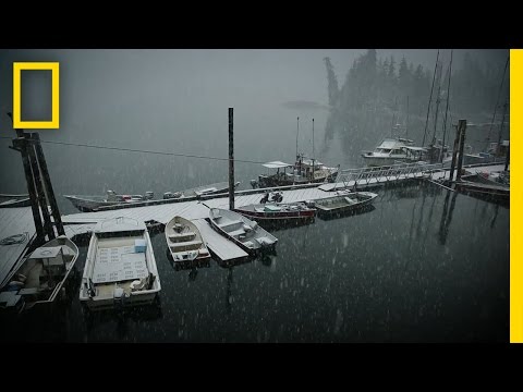 Come Prepared | Port Protection