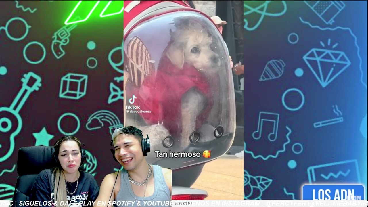 🇲🇽 COSAS de M3XlCAN0S 😂 (SI TE RIES PIERDES) | Los ADN || VENEZOLANA🇻🇪🇵🇪 & PERUANO🇵🇪 REACCIÓN