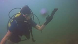 Scuba Diving at Clio Bay  - Kitimat - July 22, 2026