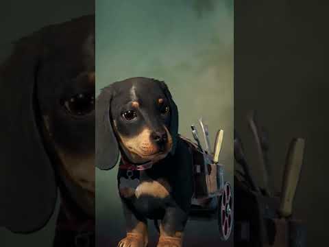 Far Cry 6 Chorizo #shorts #farcry6 #ubisoft #chorizo