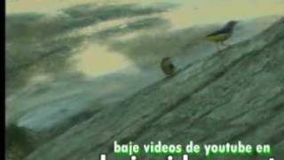 Versión 3 del video