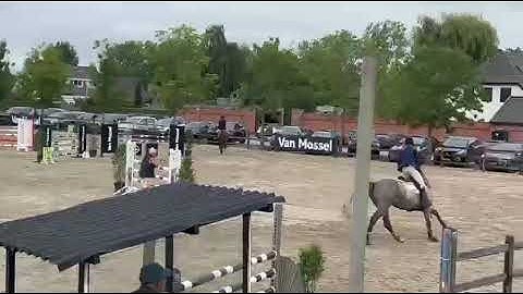 251003  UNCHETTO vh Weidehof  2020  by Ogano Sitte  x  Cornet