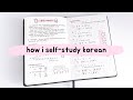 How i selfstudy korean  tips for beginners