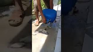 Download Lagu Sahabat MP3