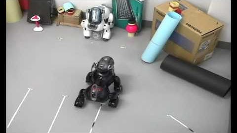 Kissing AIBO: The world