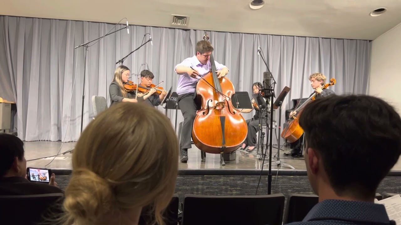 Double Bass Concerto - Johann Baptist Vanhal (3) - Brian Slack