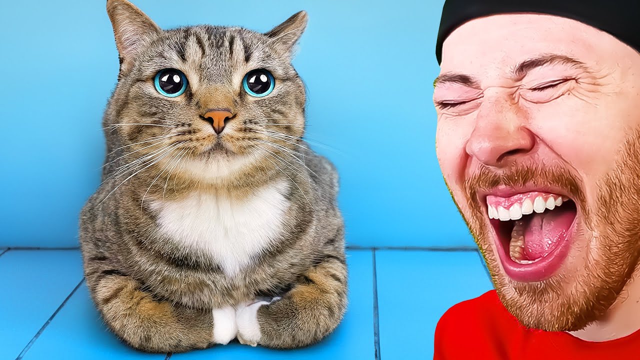 Best Videos Of The Month!