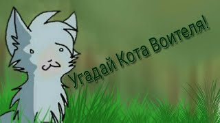 Перезапуск рубрики "Угадай Кота Воителя"! #1 Перезапуск рубрики "Угадай Кота Воителя"! #1