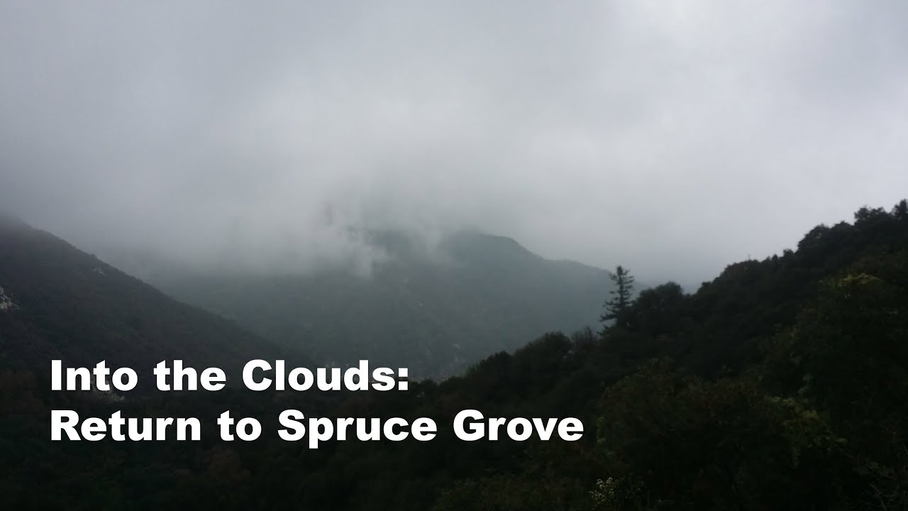 Into the Clouds - Spruce Grove Overnight Backpacking Adventure May 2015