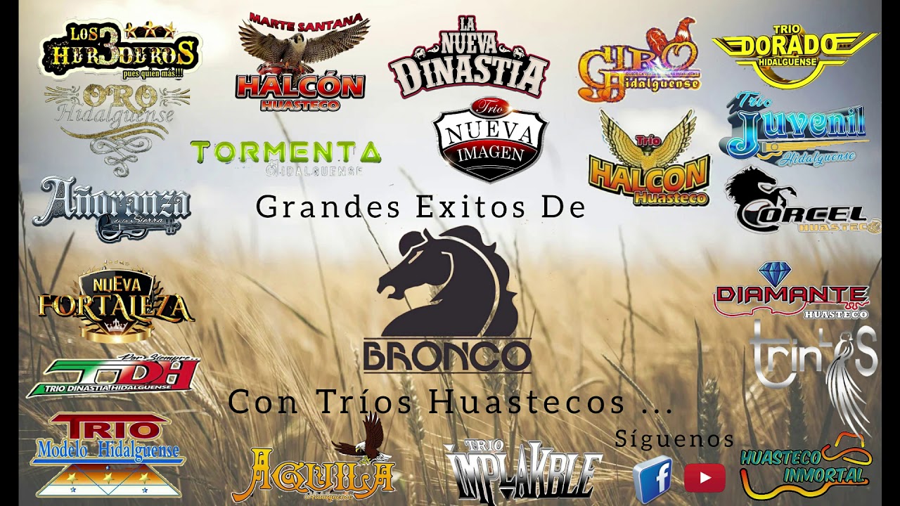 Tríos Huastecos (Éxitos de Bronco)