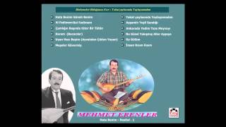 Mehmet Erenler  - Tokat Yaylasında Yaylayamadım Resimi