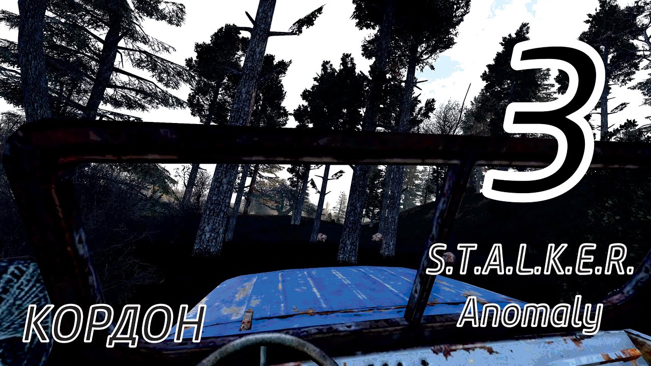 3. S.T.A.L.K.E.R. Anomaly. Сталкер аномалия, прохождение, мутанты ...