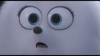 The Secret Life of Pets, but only when they say Gidget