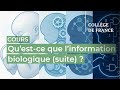 Ref:xpSQyWDepvM Qu est-ce que l information biologique (suite)   (1) - thomas lecuit (2025-2026)