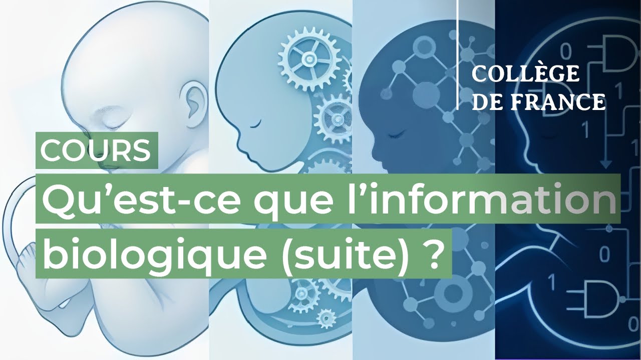 Qu’est-ce que l’information biologique (suite) ? (1) - Thomas Lecuit (2025-2026)
